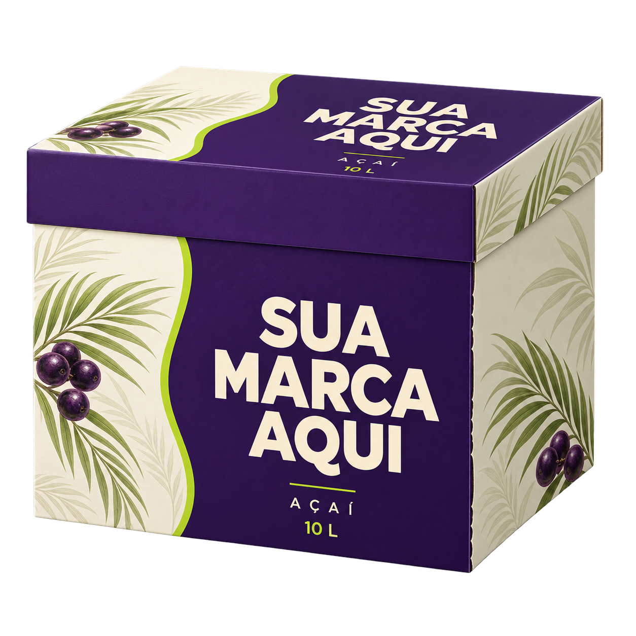 Caixa de açaí de 10 L personalizada com Sua marca aqui
