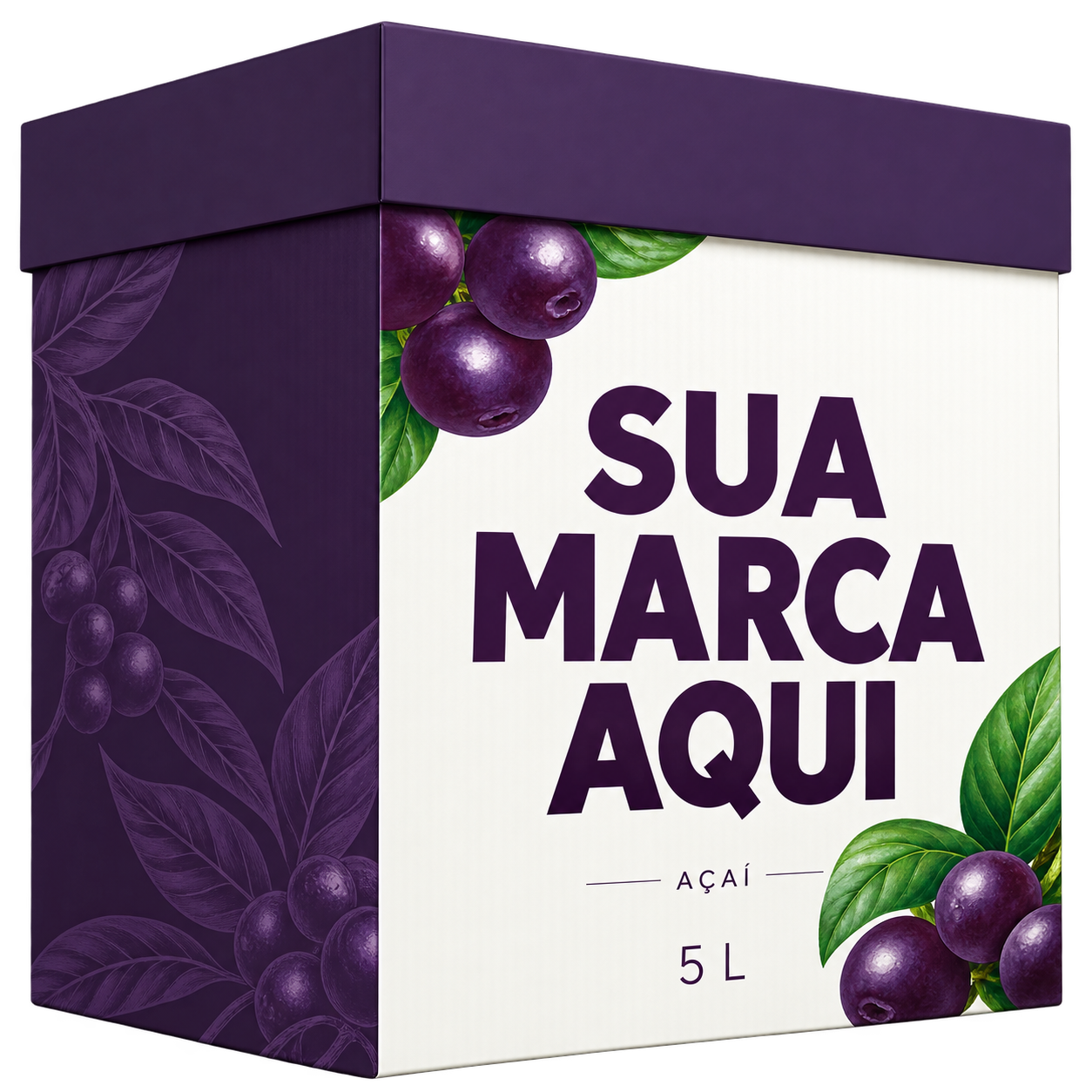 Caixa de açaí de 5 L personalizada com Sua marca aqui